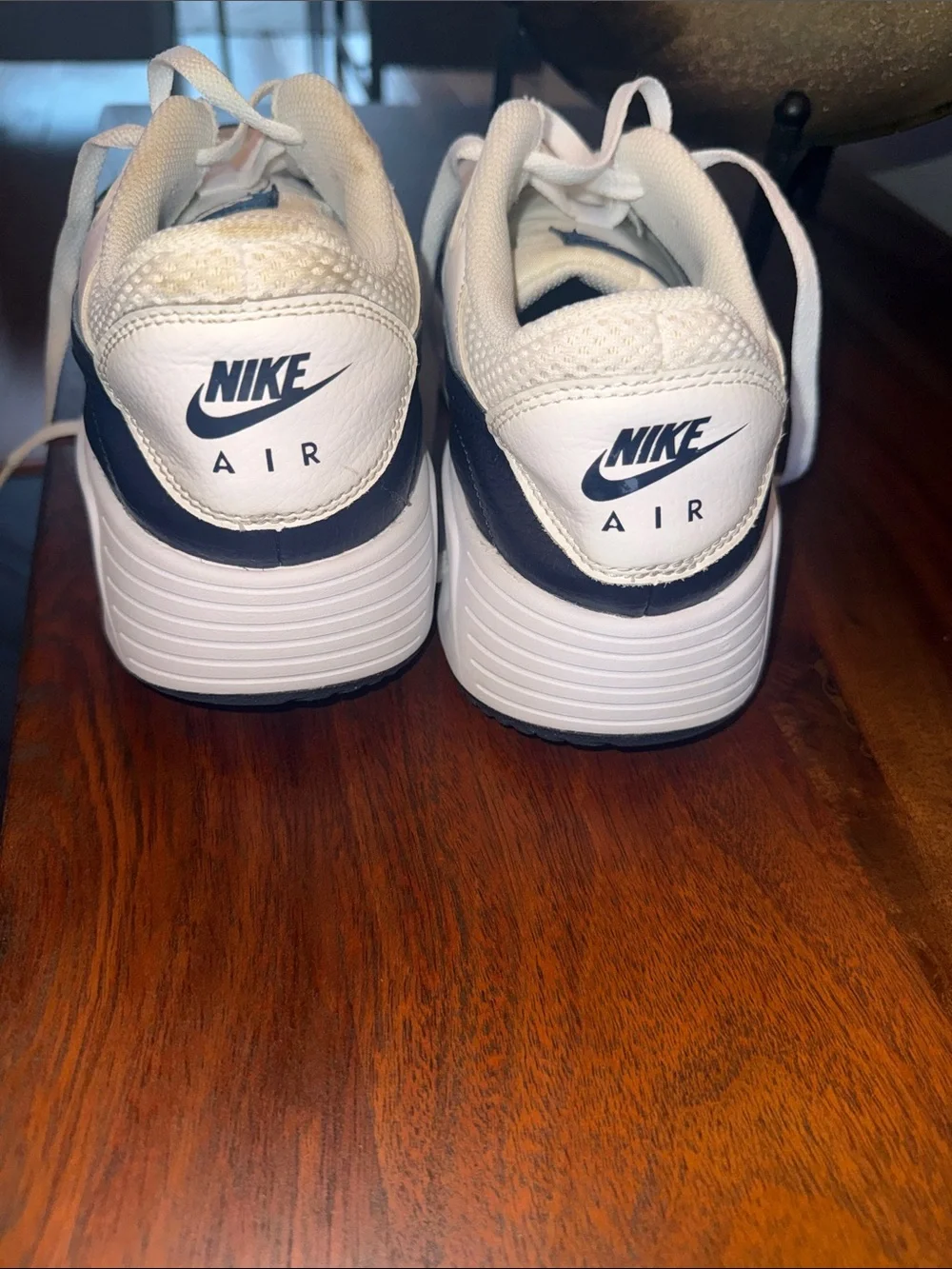 Nike Men’s White and Navy Low-Top Sneakers